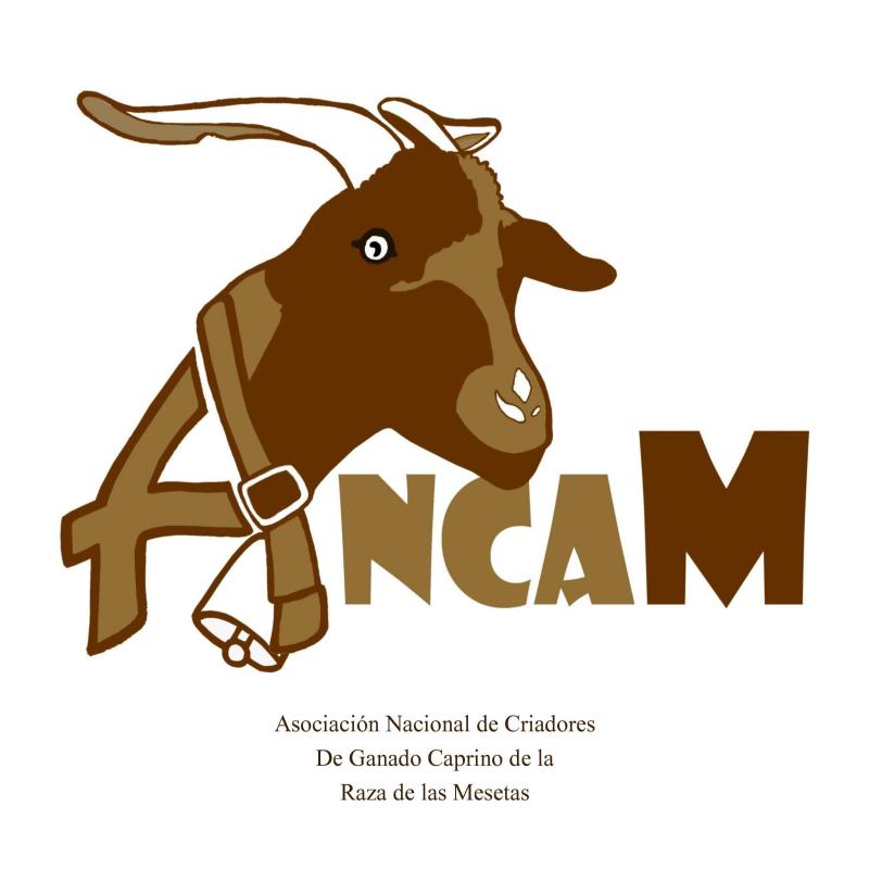 ANCAM
