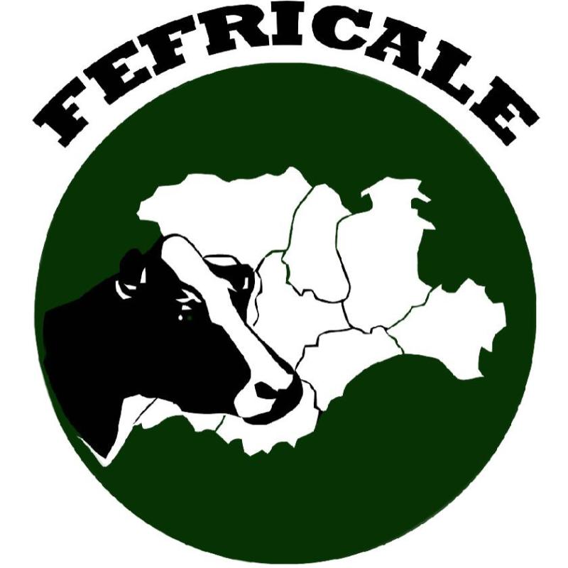 FEFRICALE - FEDERACIÓN FRISONA DE CASTILLA Y LEÓN