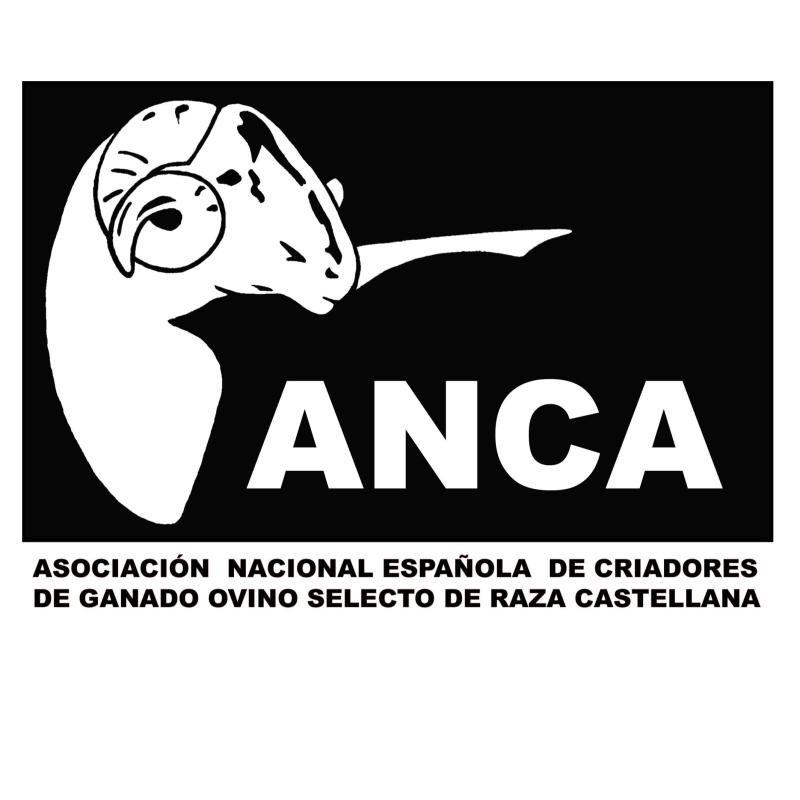 ANCA